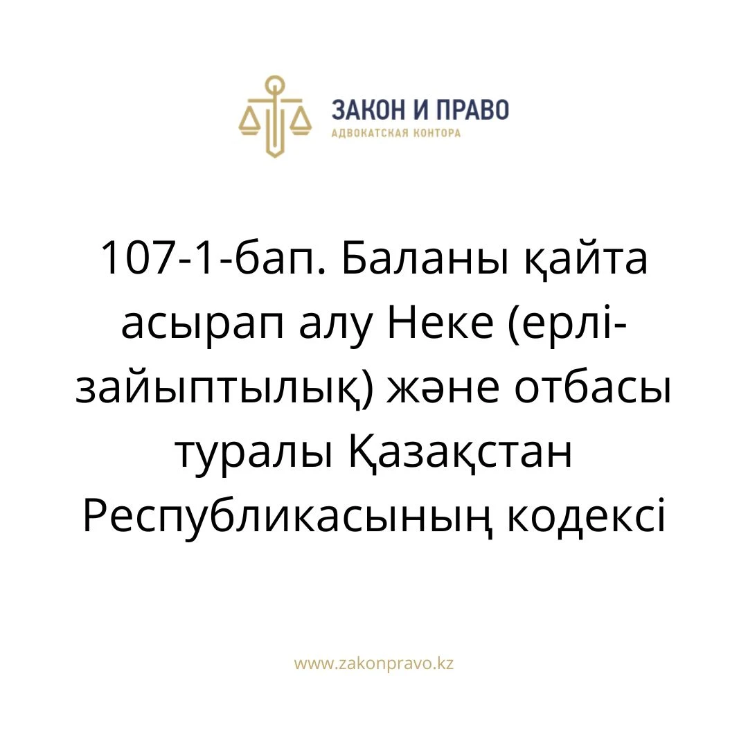 АMANAT партиясы және Заң және Құқық адвокаттық кеңсесінің серіктестігі аясында елге тегін заң көмегі көрсетілді